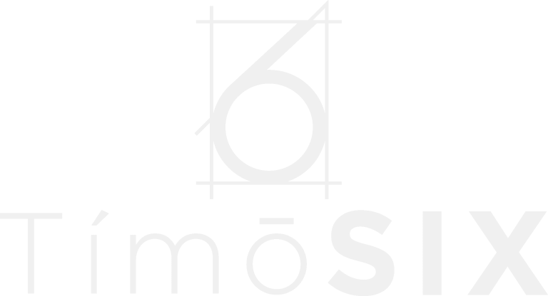 Timo6 Logo White